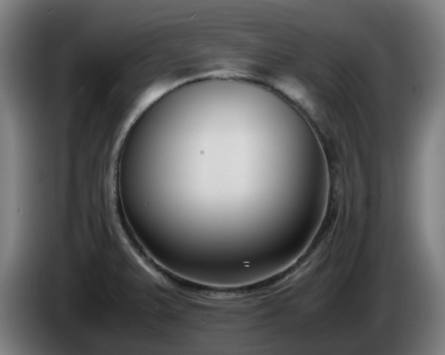 X0000086011375200703301001