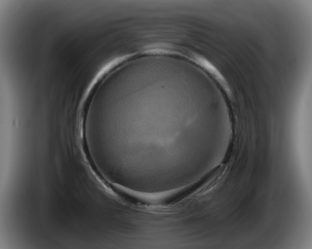 X0000086011376200703301001