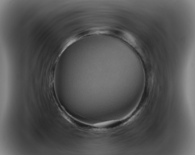 X0000086011377200703301001