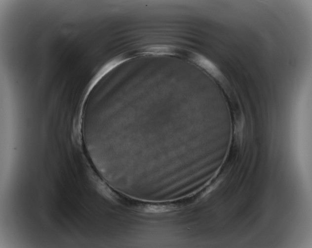 X0000086011378200703301001