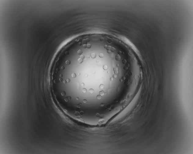 X0000086011380200703301001