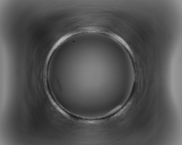 X0000086011381200703301001