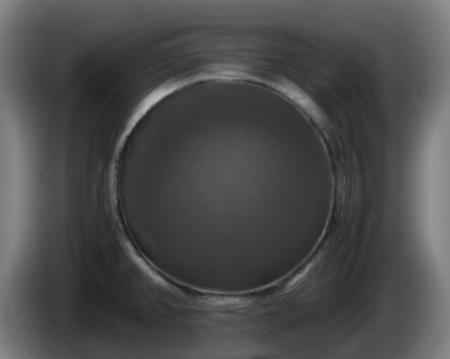 X0000086011382200703301001