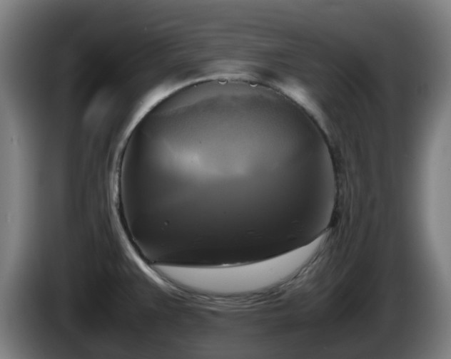 X0000086011383200703301000