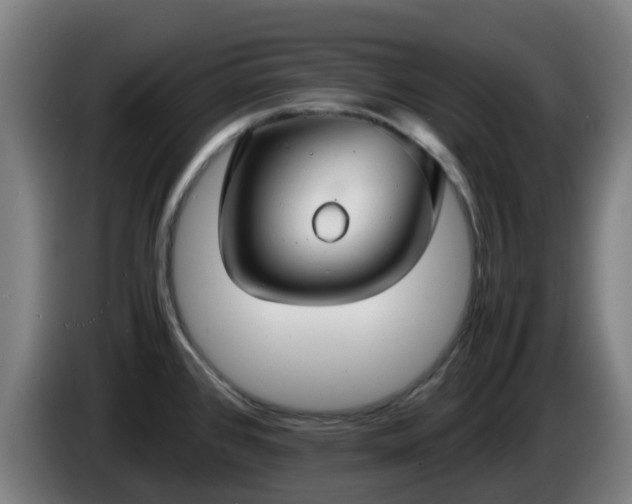 X0000086011384200703301000