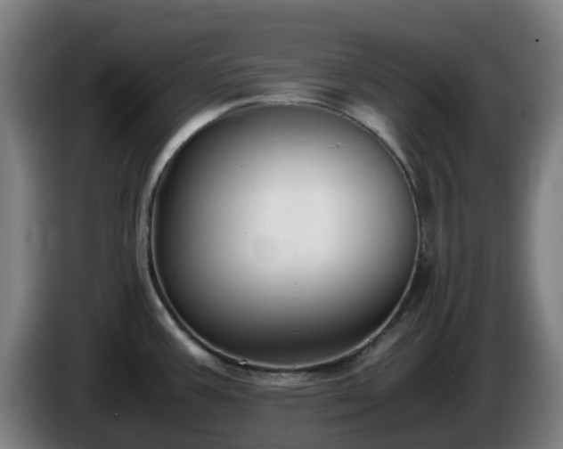 X0000086011387200703301000