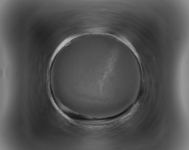 X0000086011389200703301000