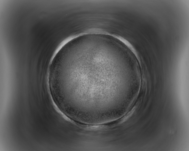 X0000086011390200703301000