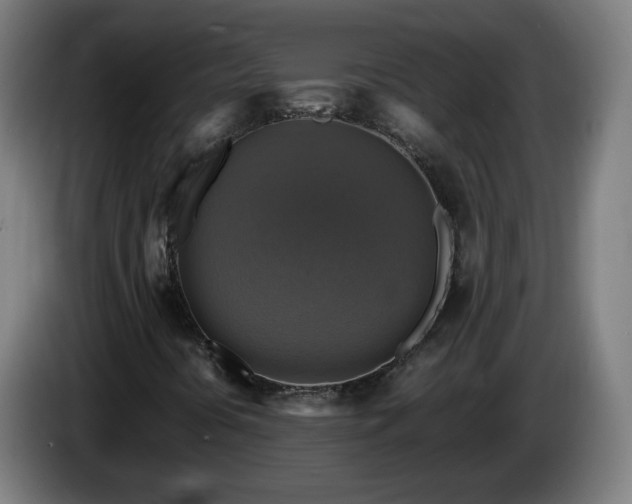 X0000086011394200703301000