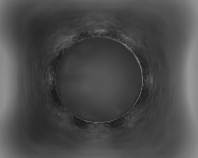 X0000086011397200703301000
