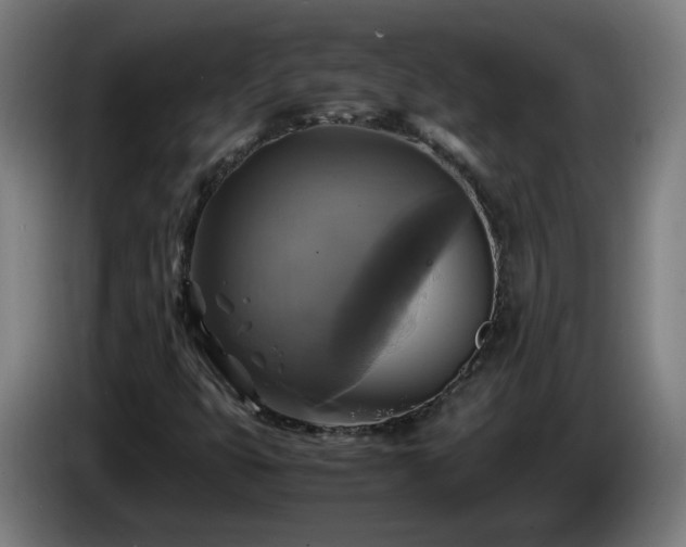 X0000086011399200703301000