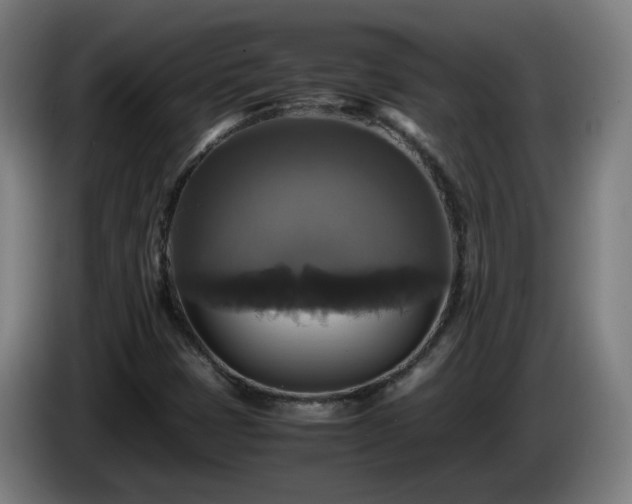 X0000086011401200703301000