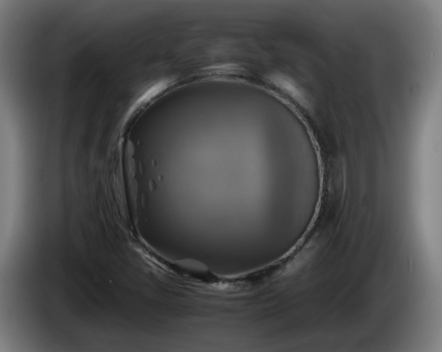 X0000086011405200703301000