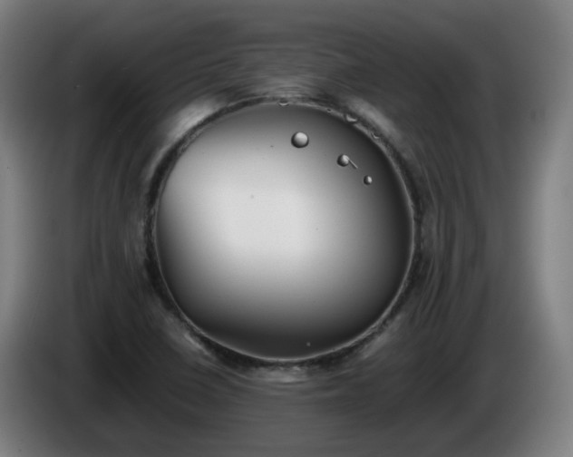 X0000086011410200703301000