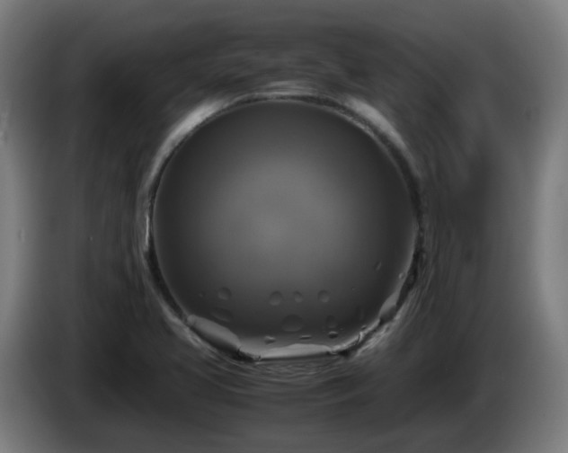 X0000086011413200703301000
