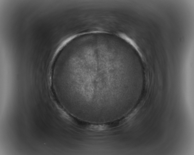 X0000086011415200703301000