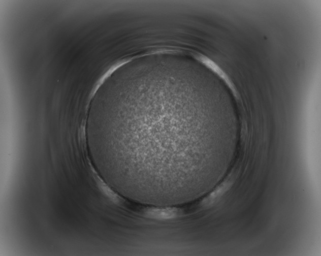 X0000086011417200703301000