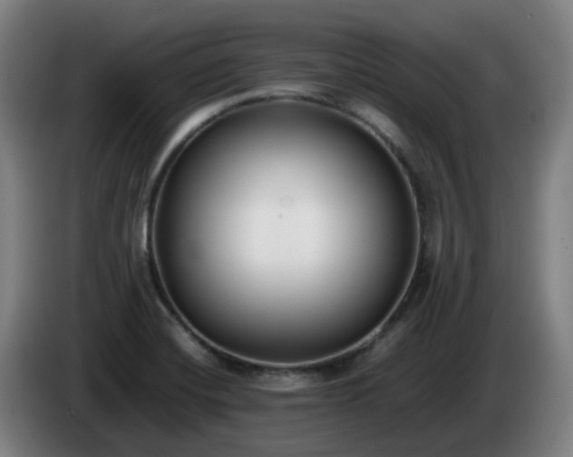 X0000086011420200703301000