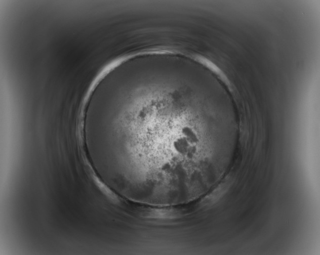 X0000086011421200703301000
