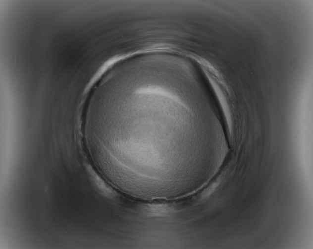 X0000086011422200703301000
