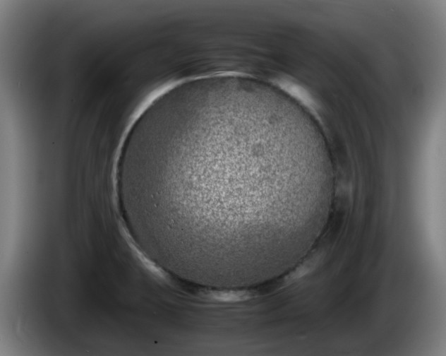 X0000086011423200703301000