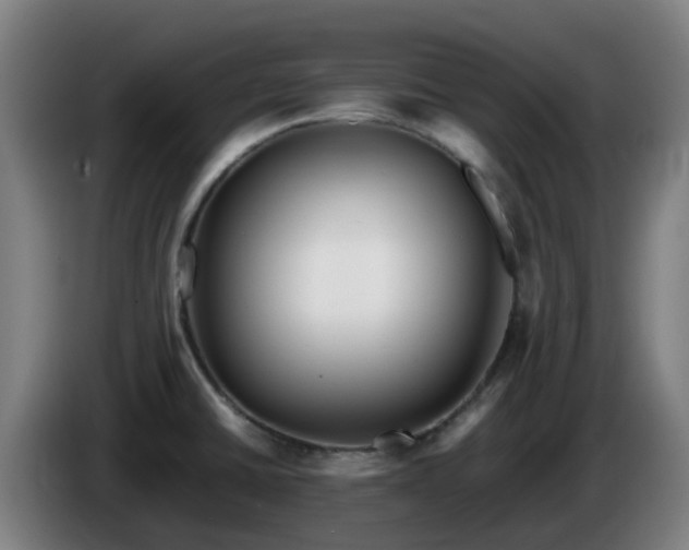 X0000086011430200703301000
