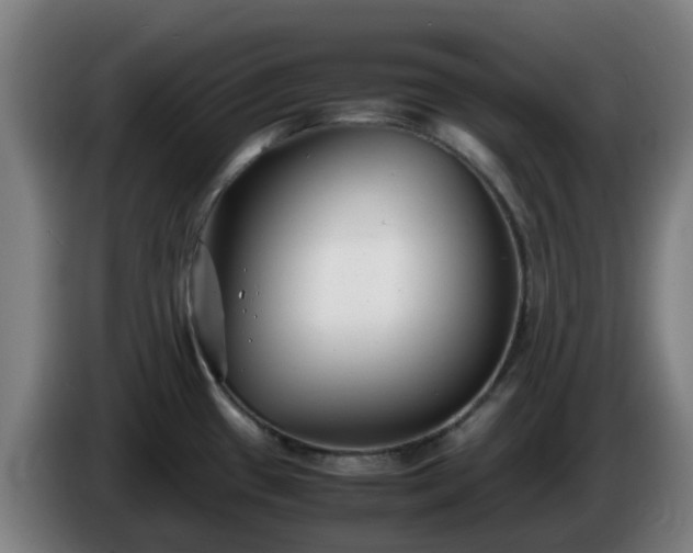 X0000086011433200703301000