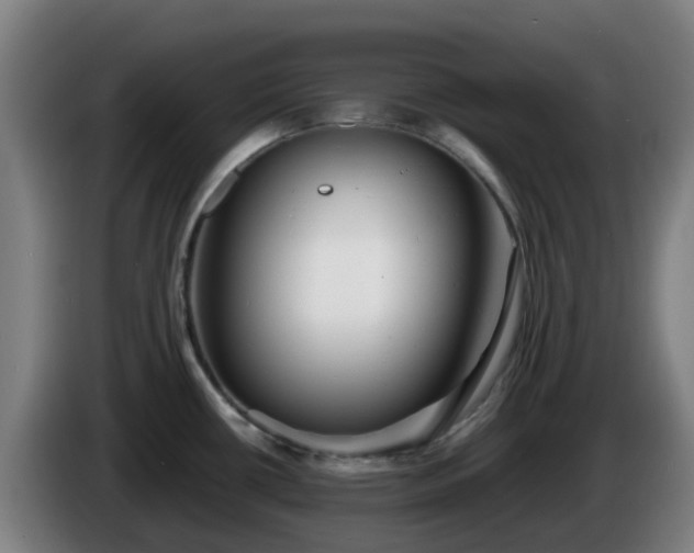 X0000086011434200703301000