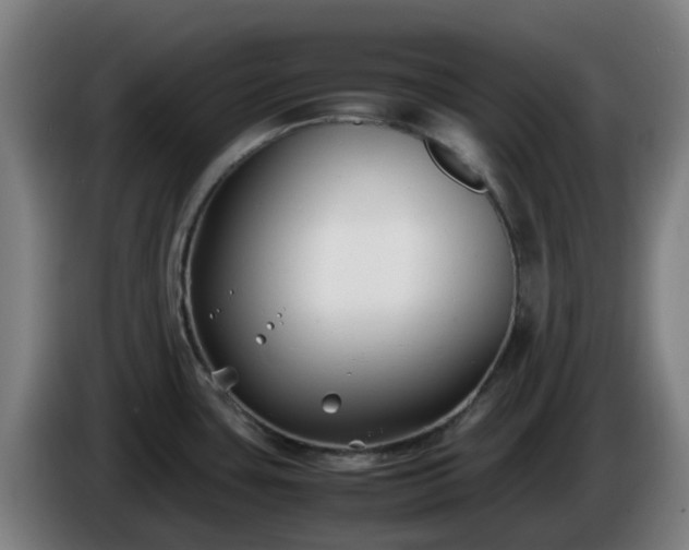 X0000086011435200703301000