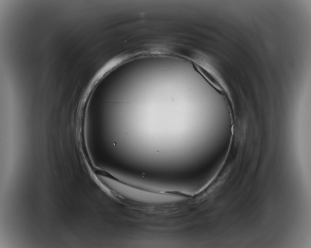 X0000086011437200703301000