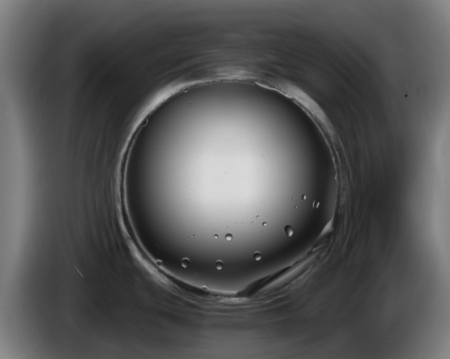 X0000086011439200703301000