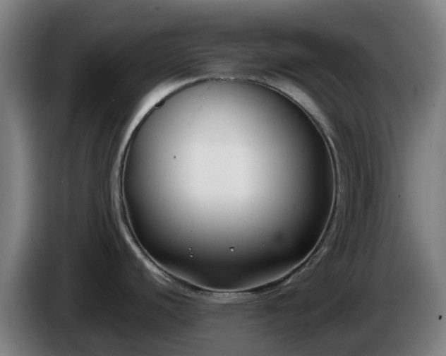X0000086011440200703301000