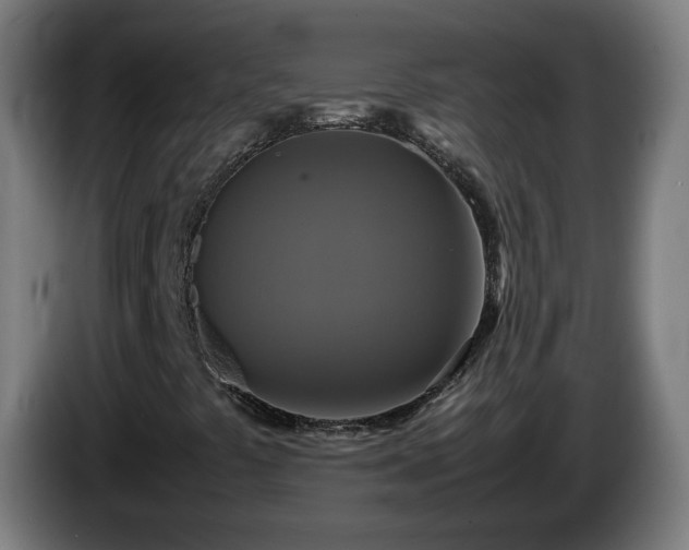 X0000086011441200703300959