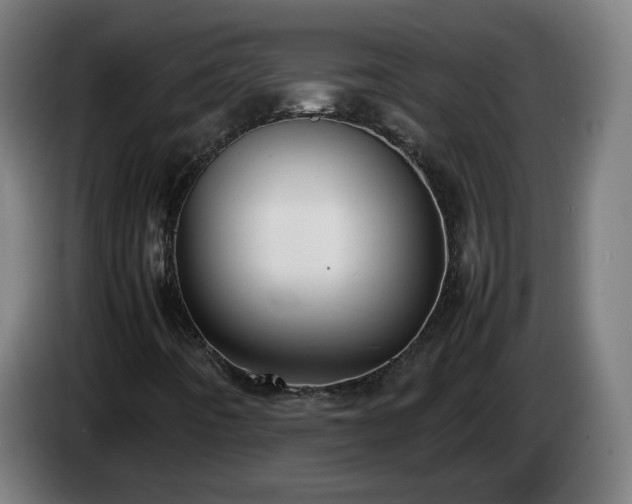 X0000086011442200703300959