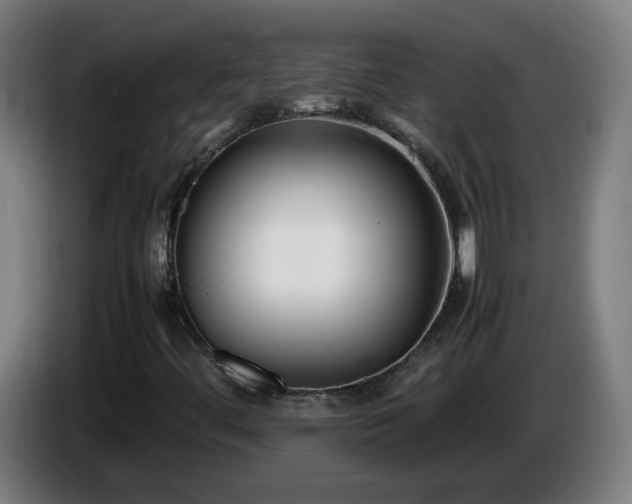 X0000086011444200703300959