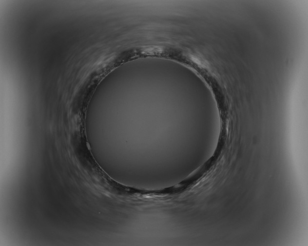 X0000086011445200703300959