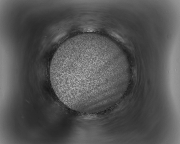 X0000086011446200703300959