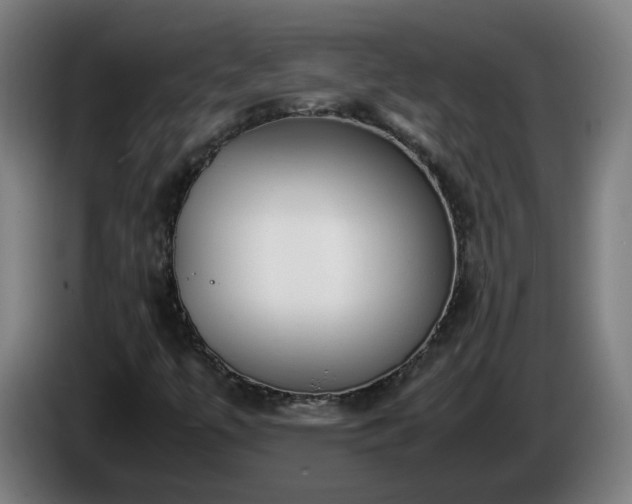 X0000086011447200703300959