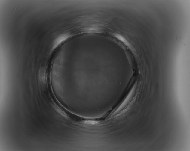 X0000086011450200703300959