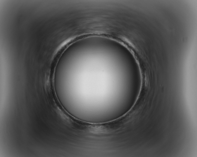 X0000086011452200703300959
