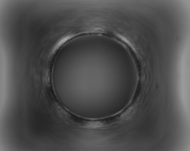 X0000086011455200703300959