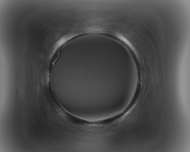 X0000086011461200703300959