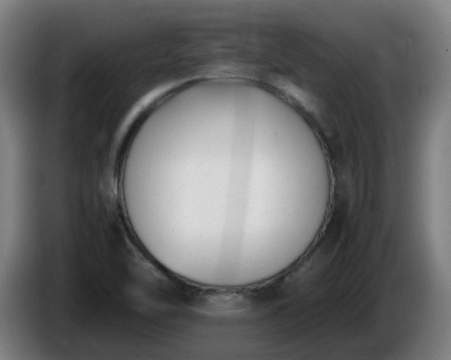 X0000086011462200703300959