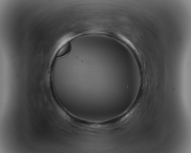 X0000086011463200703300959