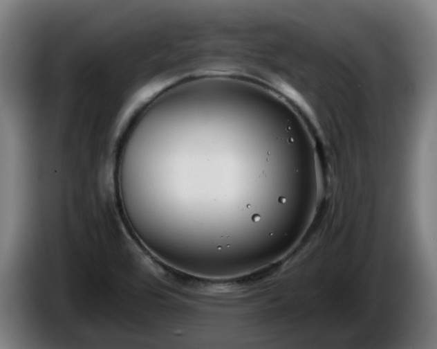 X0000086011464200703300959