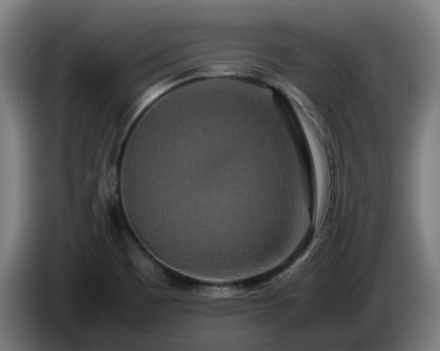 X0000086011465200703300959