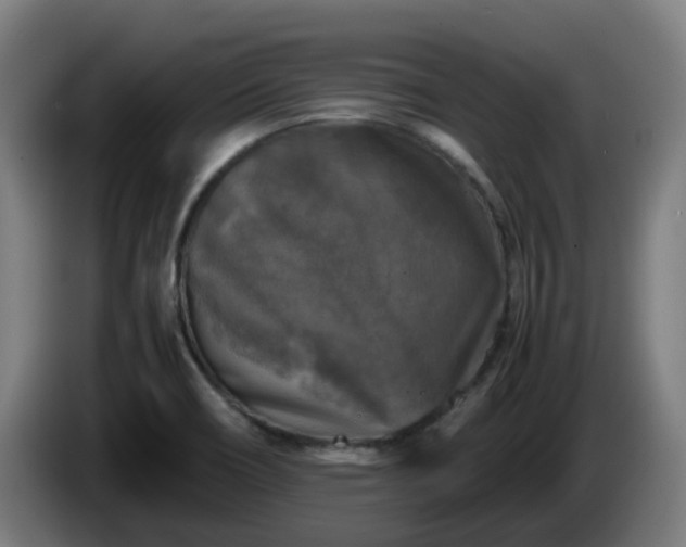 X0000086011466200703300959