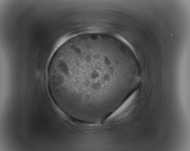 X0000086011467200703300959