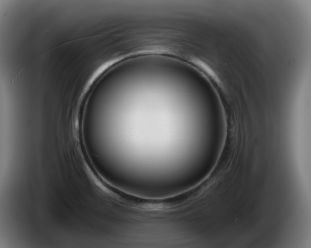 X0000086011468200703300959