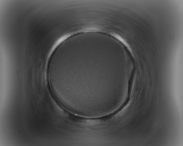 X0000086011469200703300959